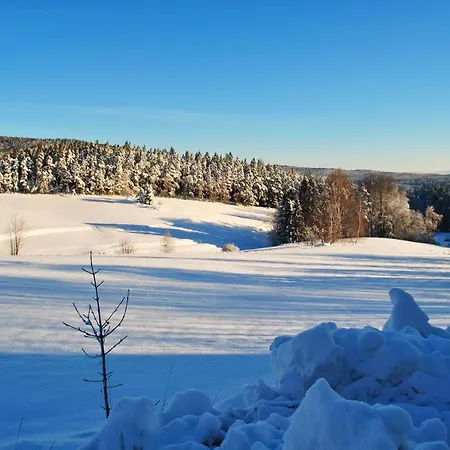 Lejlighed Kappauf / Petrik *
