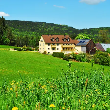 Kappauf / Petrik