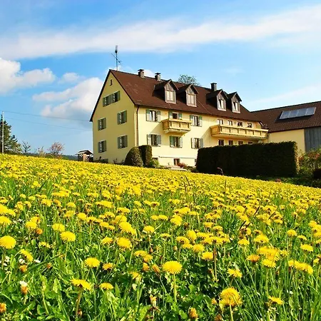 Kappauf / Petrik Friedenfels